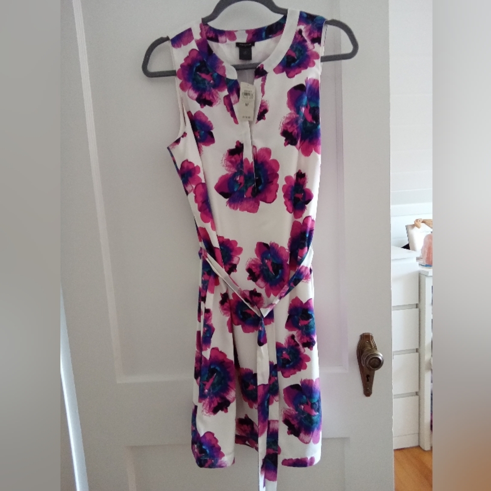 Ann Taylor Sheath Dress